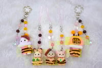 Honey Bee Babies