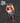 Irina Shidou Peeker