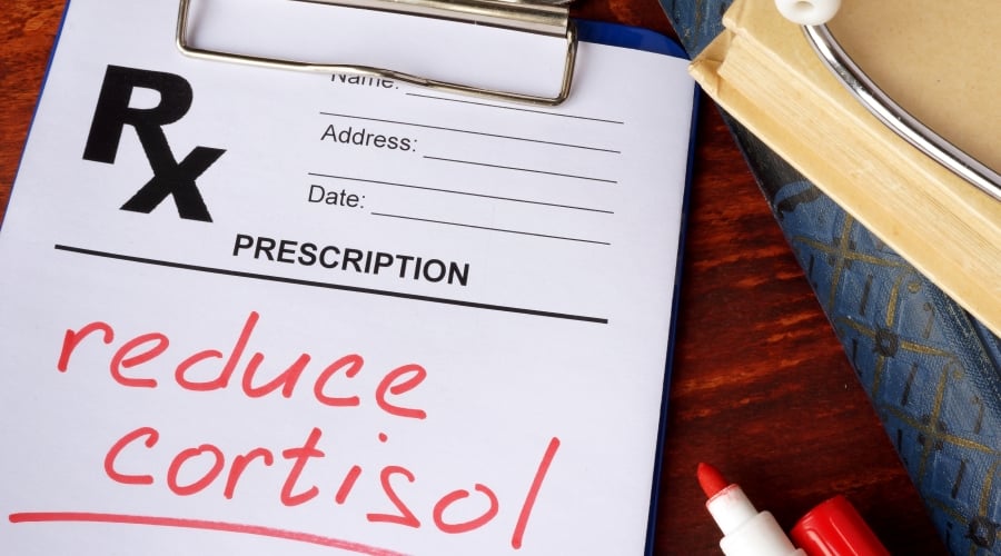 HOLY TULSI! Basil. Cravings-Blood Sugar-Cognition-Heart-Cholesterol-Kidney Stones-Mood-Headache-PCOS