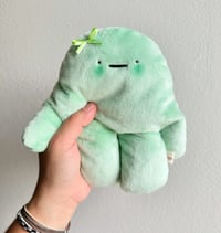 Image 1 of Short And Wide Blushing Minty Bloog 