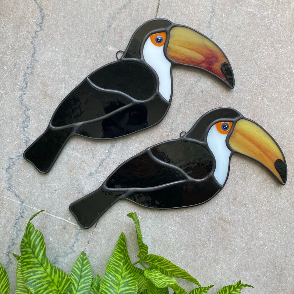 Image of Toco Toucan