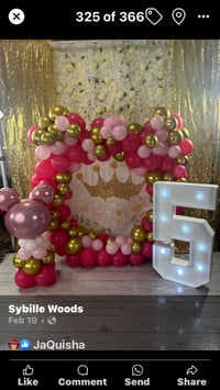 Image 1 of Balloon Party Decor 6ft or 5ft ring/arch