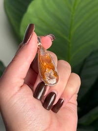 Image 2 of LAGUNA LACE AGATE PENDANT WITH CHAIN M (.925 SS)