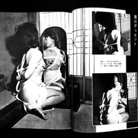 Image 8 of Fuzoku Kitan 1960 #6