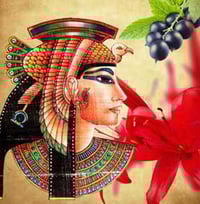 Image 3 of Queen of the Nile Incense Sticks