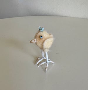 Image of Very Tiny Chicken Baby