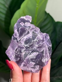 Image 2 of BLUE/PURPLE FLUORITE -CHINA- C