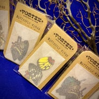 Image 3 of Real Butterfly Wings