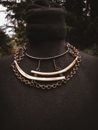 Image 3 of Stacked Ribs