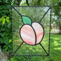 Image 1 of Peach Panel v.1
