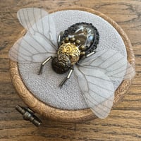 Image 2 of Snake skin bee (b,  3 inches)