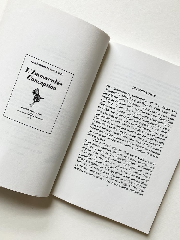 The Immaculate Conception Image 3