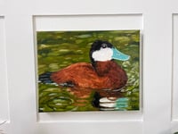 Image 1 of Ruddy Duck Oil Painting 8x10in