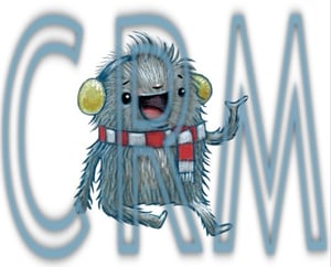 Image of CRM Snow Tubes