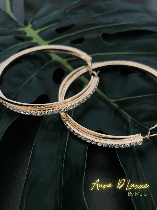Image of Double Slit Hoops