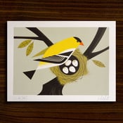 Image of Goldfinch Print