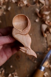 Image 6 of Fox Scoop 