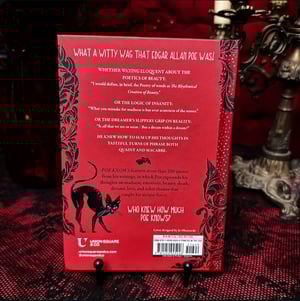 Image of Poe Knows Book