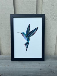 Image 3 of Colibri