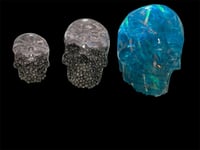 Image 2 of Large Size Skulls