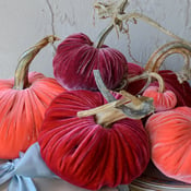 Image of Velvet Plush Pumpkin Spring Set