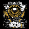 Birdflesh / Organ Dealer: split LP