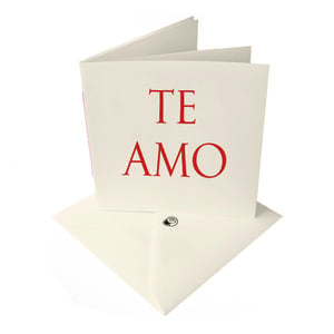 Image of 'TE AMO' [I love you] latin LOVE card 