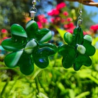 Image of 4 Leaf Clover