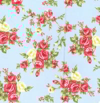  Blue and Pink Rose