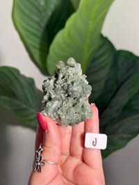 Image 10 of CHOOSE YOUR OWN BOWTIE PREHNITE -INDIA-