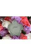 Jaded Script Hoodie (Mint)