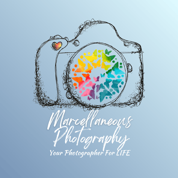 Image of $100 Gift Credit