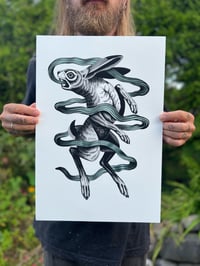 Image 5 of Rabbit 