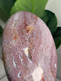 Image 2 of XL PINK/PURPLE SEA JASPER FREEFORM -MADAGASCAR-