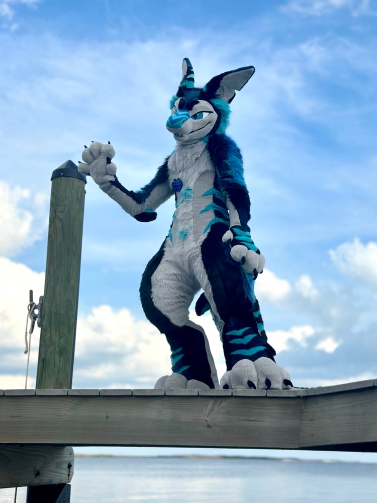 Razz Shark 100 plush commission 30cm + prototype | CorgiBeans