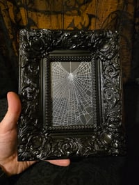 Image 2 of Large Chunky Gothic black ornate framed preserved web