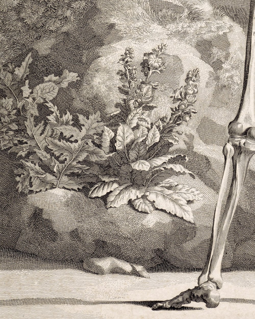 "Skeleton near a tomb''(1747)