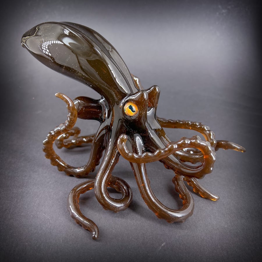 Image of Sparkled Brown Octopus