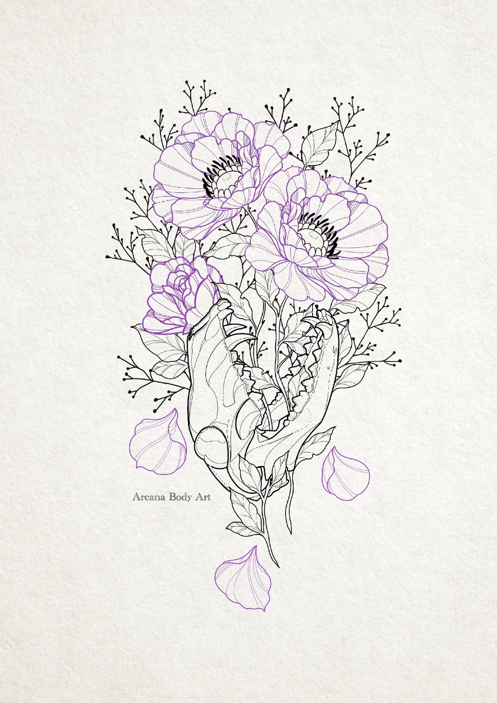 Image of Crane Renard Anemones Gypsophile 