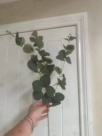 Image 2 of 92cm LARGE 3 STEM EUCALYPTUS SPRAY