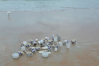 Image 12 of Diner Cups (Seconds)