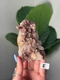 Image 5 of SUNSET PHANTOM QUARTZ -INDIA- LOT 5