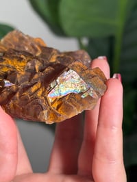 Image 4 of NATURAL RAINBOW IRIDESCENT CUBIC FLUORITE -CHINA- F