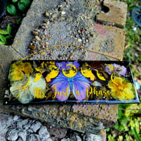 Image 5 of It's Just a Phase wall-hanging w/ a Gold Banded Forester Butterfly 