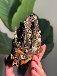 Image 6 of SELF STANDING ONE OF A KIND MIMETITE -MEXICO-