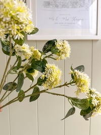 Image 1 of Spring Green Sedum Spray ( Set of 3 )