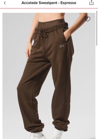 Espresso accolade sweatpants 