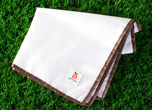 Image of eco-chic tissue paper