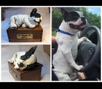 Image 10 of Custom Engraved French Bulldog Urn Handpainted To Your Photos