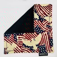 Image 3 of American - We The People